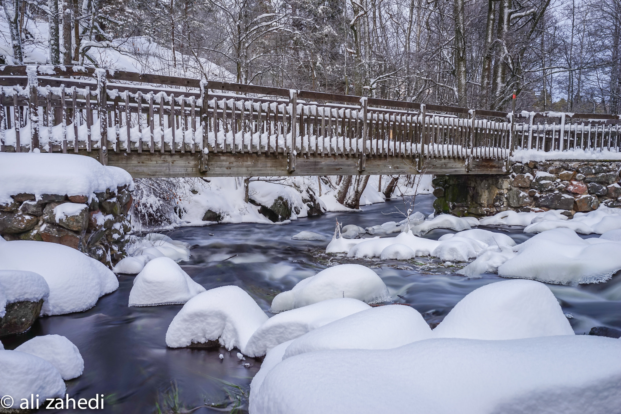 Sony a7R sample photo. B:n park photography