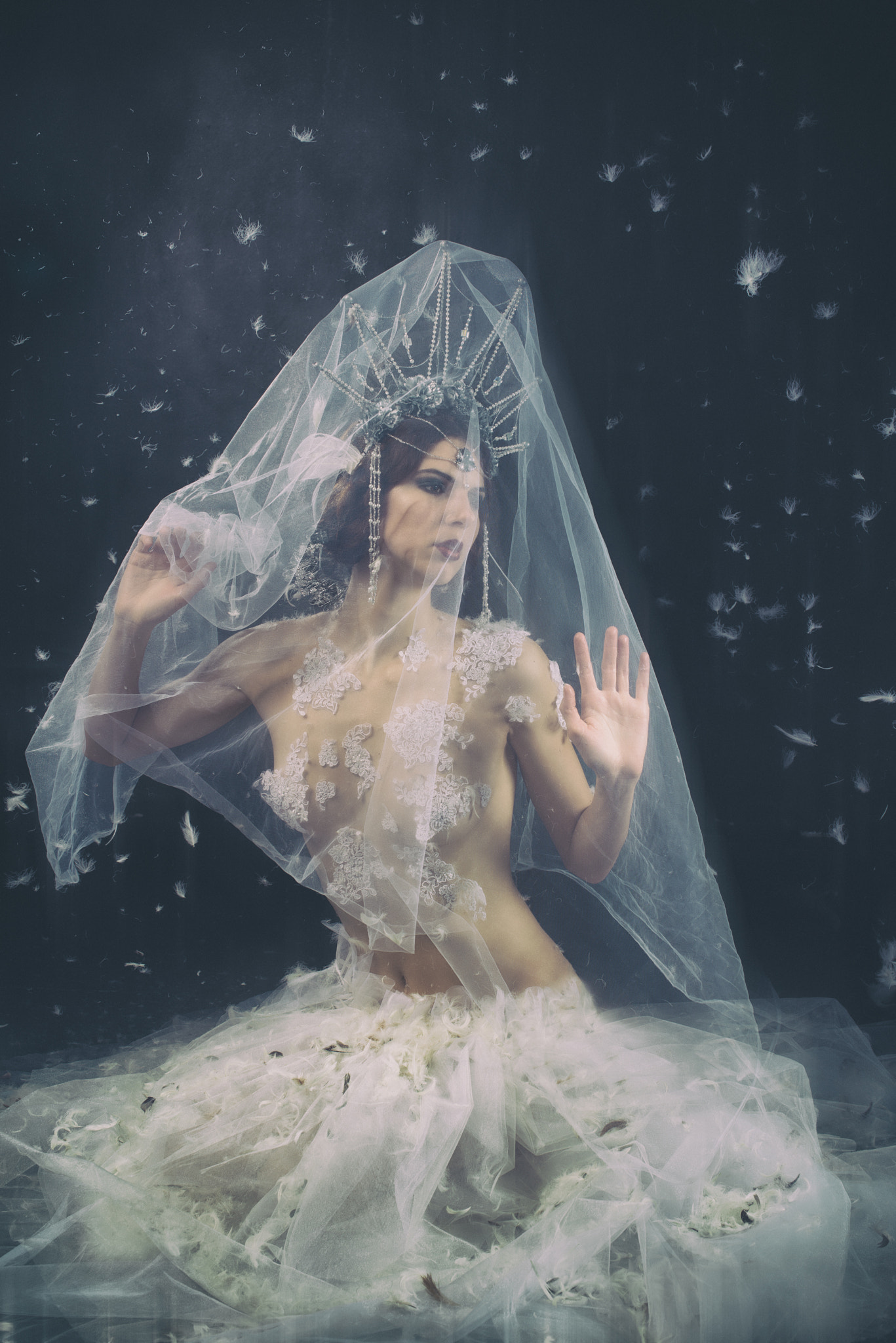 Nikon D800 + Nikon AF-S Nikkor 50mm F1.4G sample photo. Swan princess photography