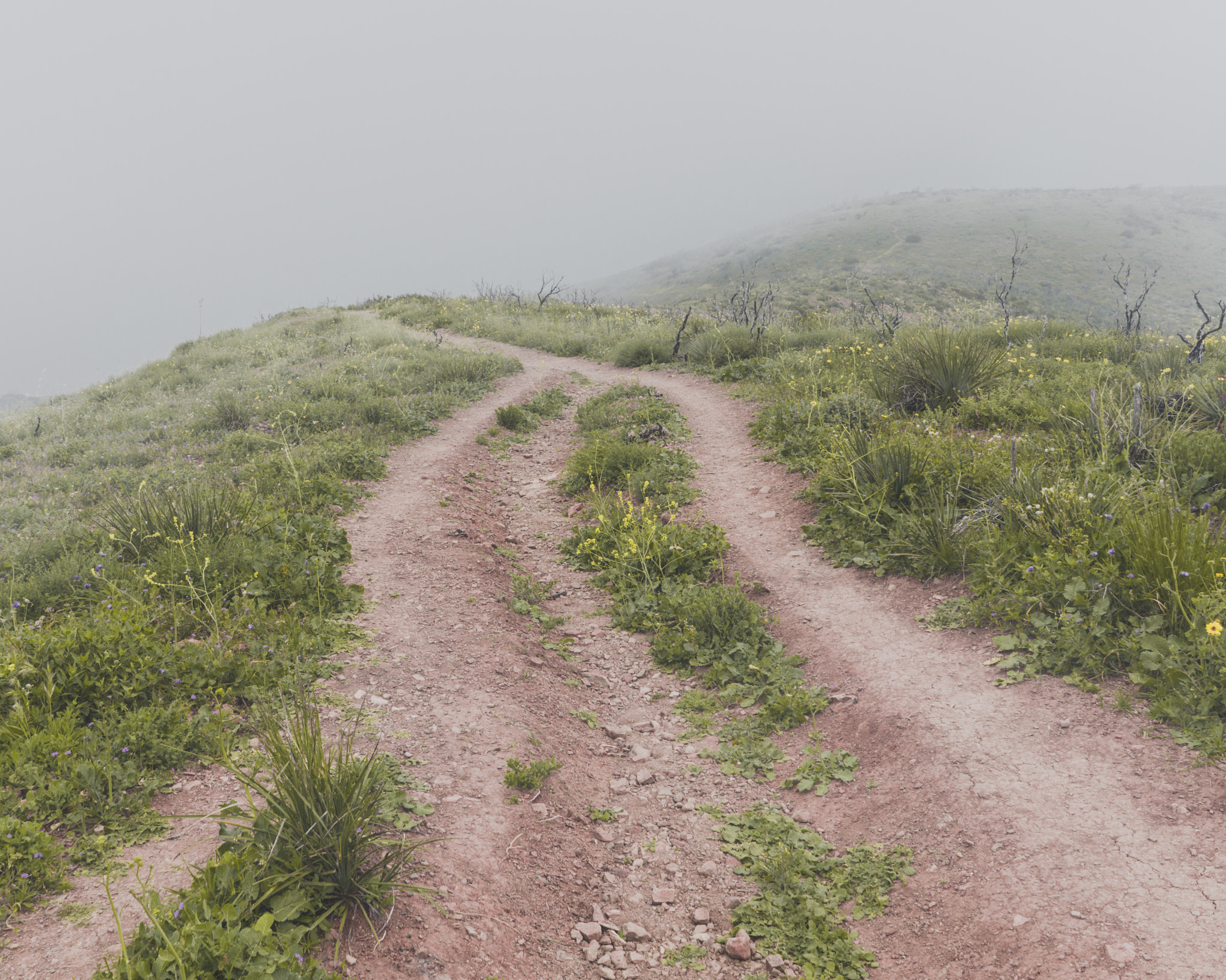 Sony a7R II + Sony FE 28mm F2 sample photo. The road photography