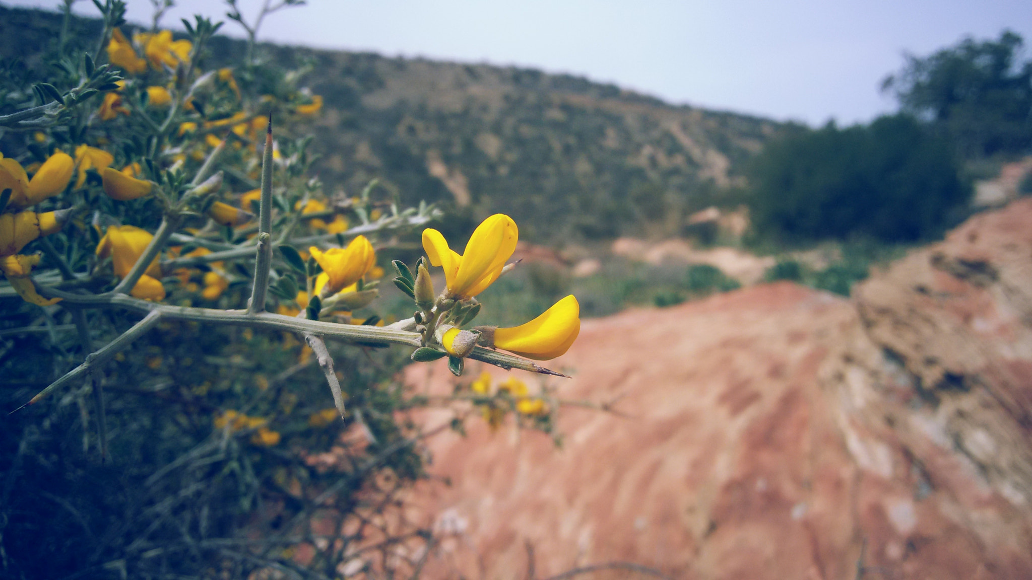 Samsung Galaxy S3 Neo sample photo