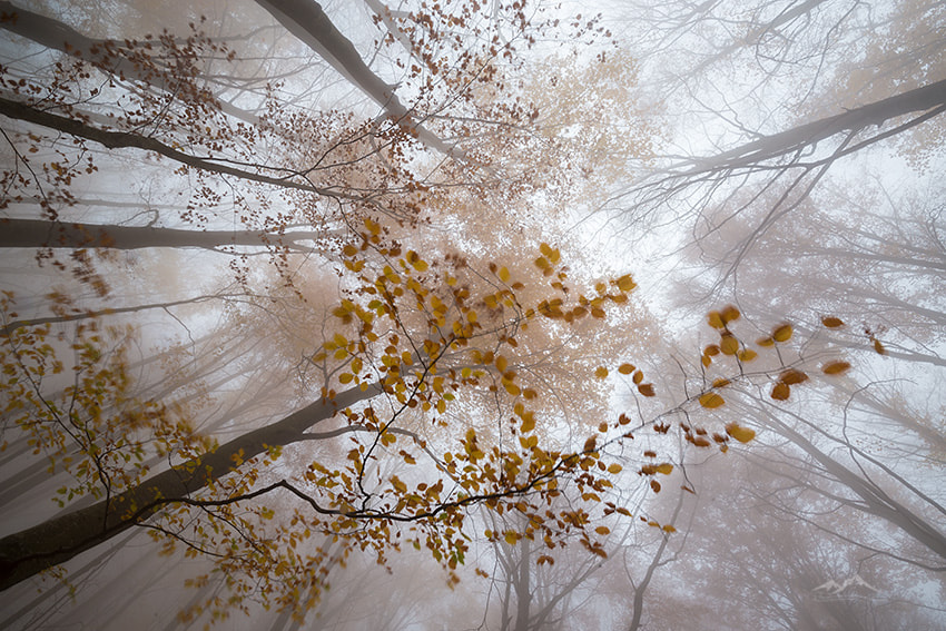 Tamron SP 15-30mm F2.8 Di VC USD sample photo. Spin photography
