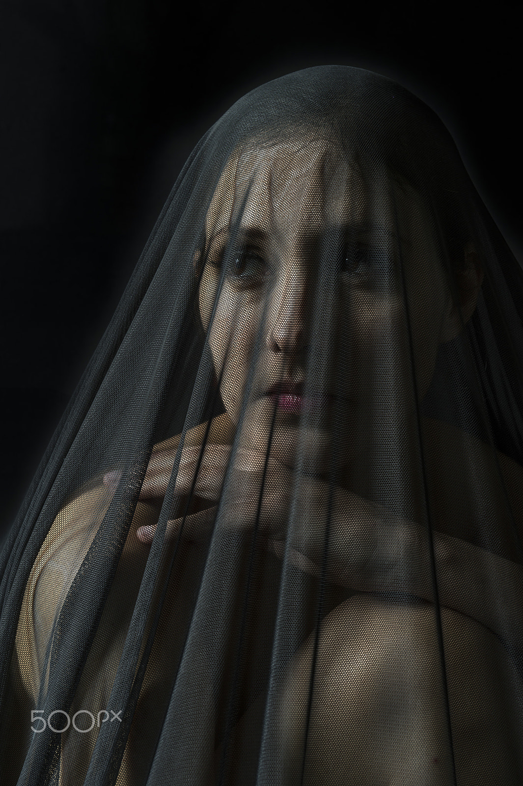 Nikon AF-S Nikkor 24-70mm F2.8G ED sample photo. Veiled photography