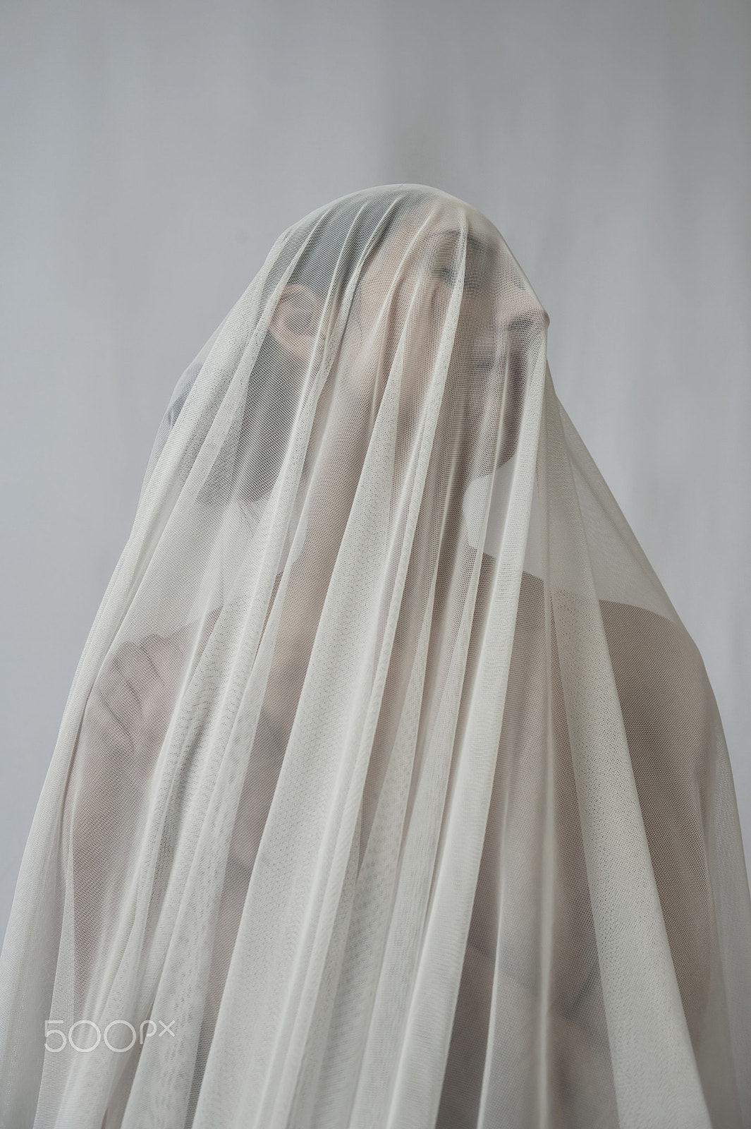 Nikon AF-S Nikkor 24-70mm F2.8G ED sample photo. Veiled photography