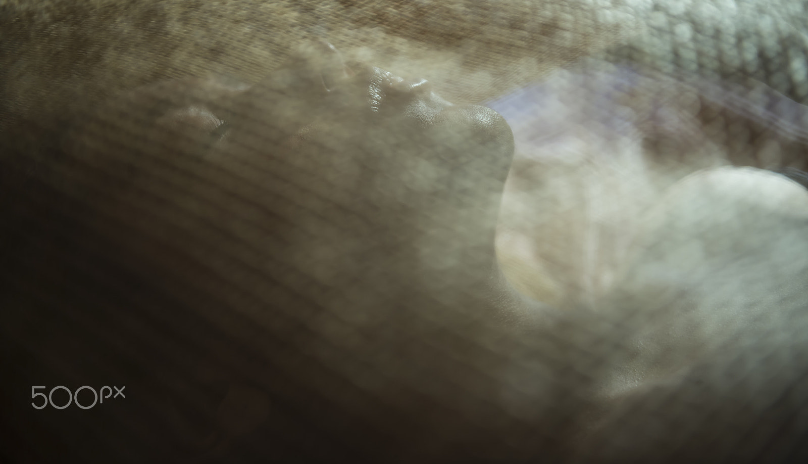 Nikon AF-S Nikkor 24-70mm F2.8G ED sample photo. Veiled photography