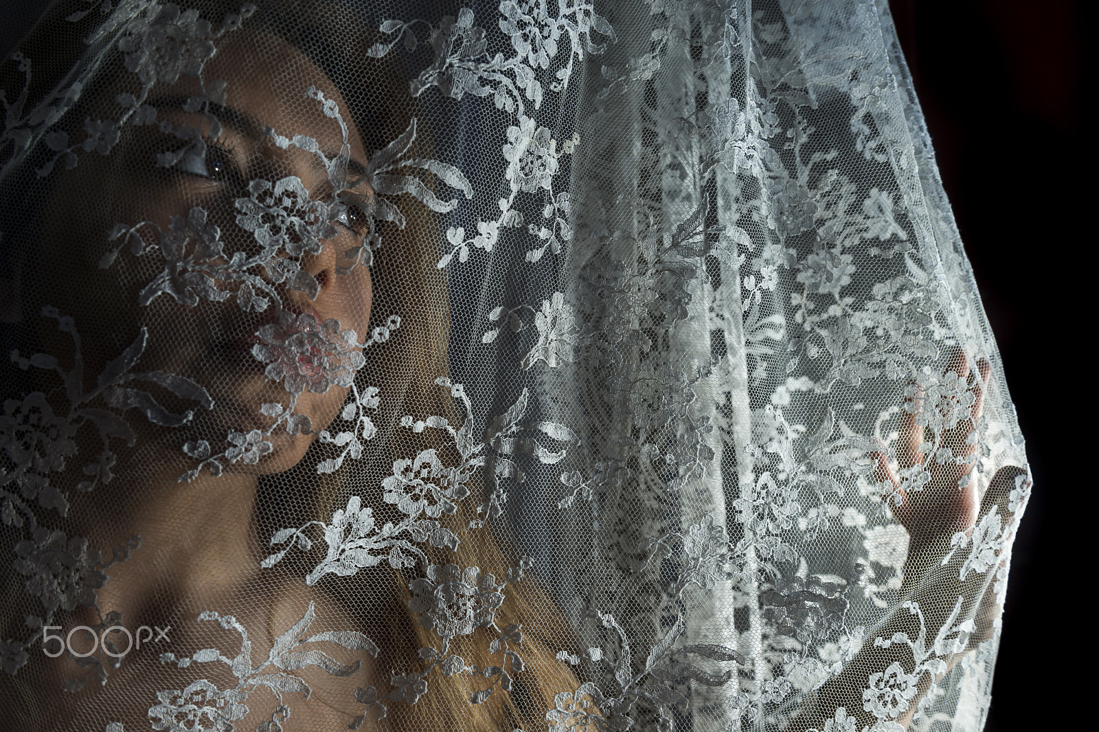 Nikon AF-S Nikkor 24-70mm F2.8G ED sample photo. Veiled photography