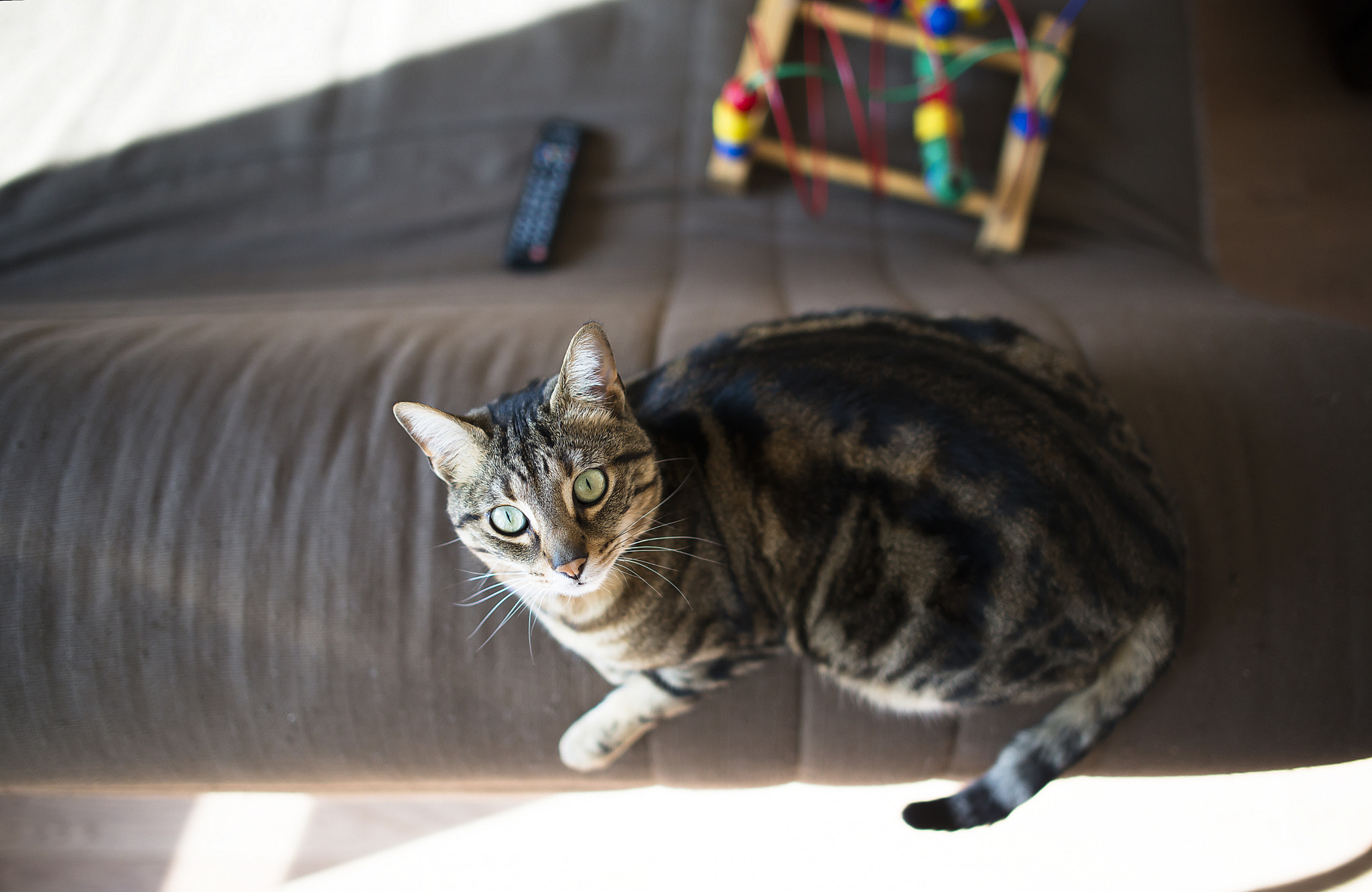 Nikon AF-S Nikkor 28mm F1.8G sample photo. - cheeeeese ! - photography