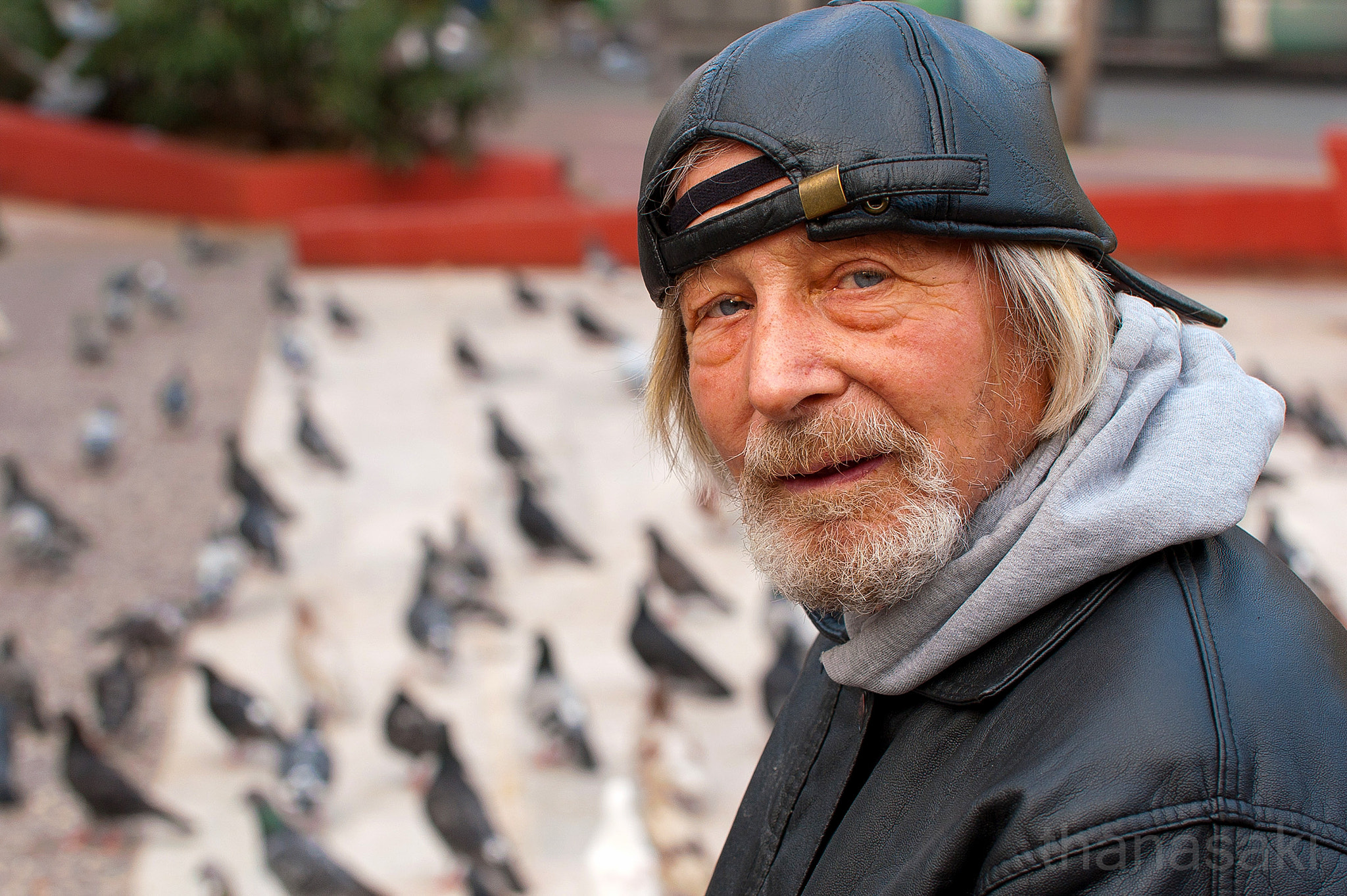 Nikon D700 sample photo. The pigeon feeder photography