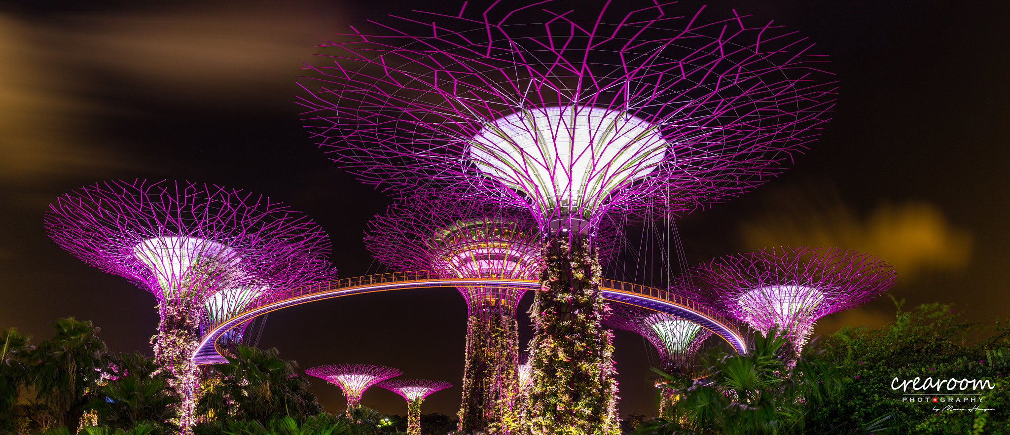 Canon EOS 6D sample photo. Singapore, gardens by the bay photography