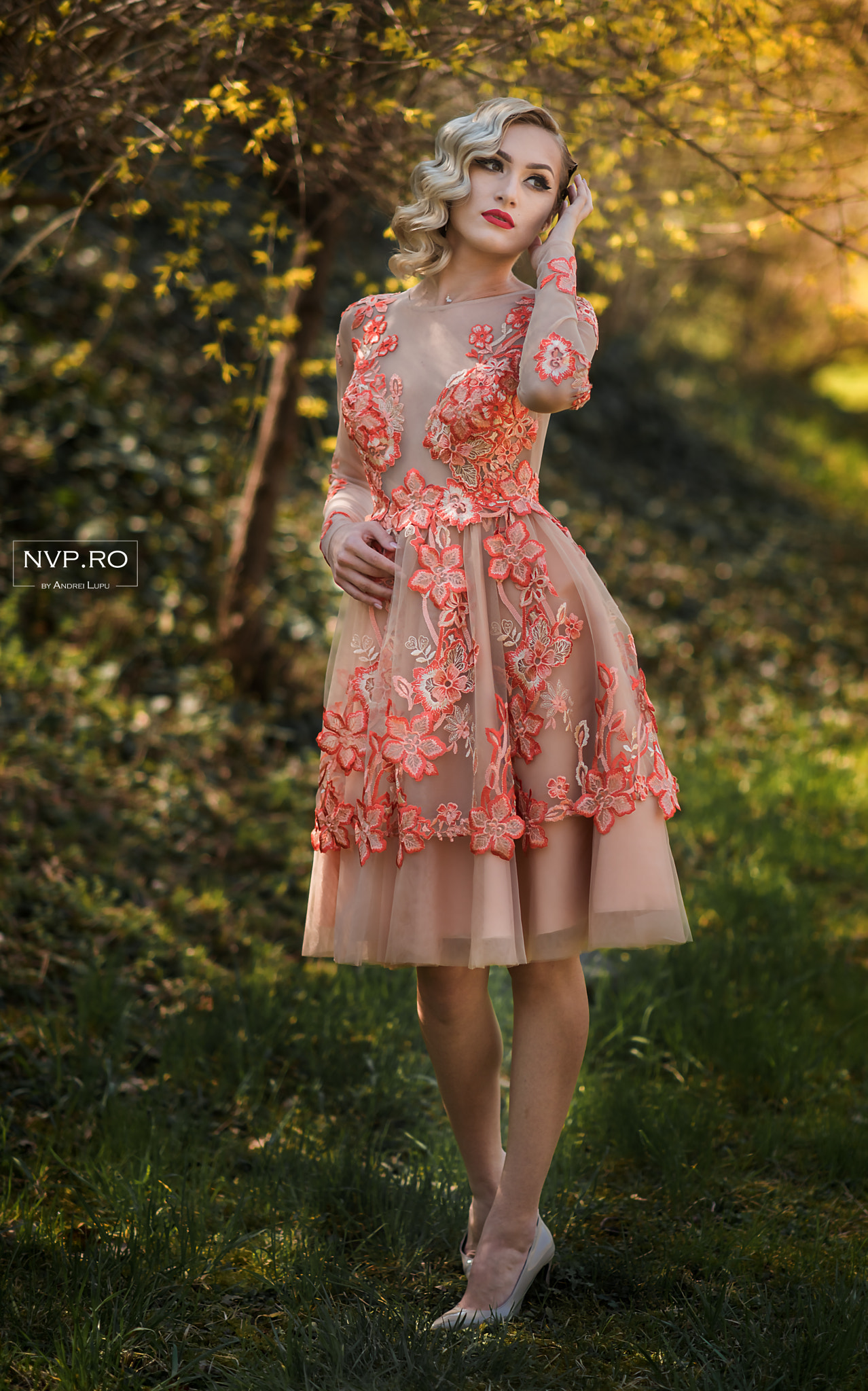 Nikon D750 + Nikon AF-S Nikkor 85mm F1.4G sample photo. Nvp_4546-1.jpg photography