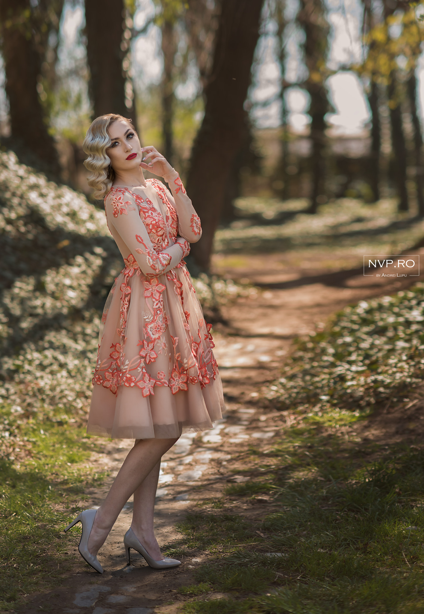 Nikon D750 + Nikon AF-S Nikkor 85mm F1.4G sample photo. Nvp_4570-1.jpg photography