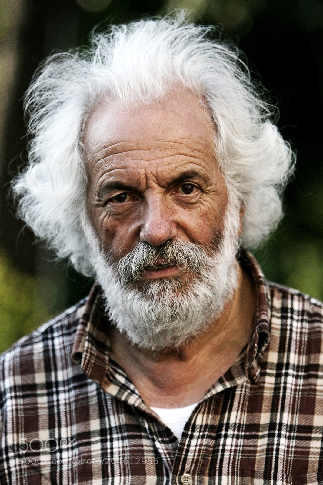 Canon EOS-1D Mark II N sample photo. Mario velocci, artist photography
