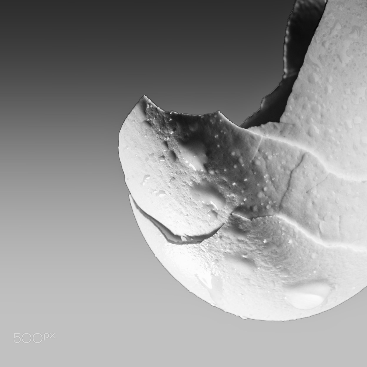 Nikon AF-S Nikkor 24-70mm F2.8G ED sample photo. Egg photography