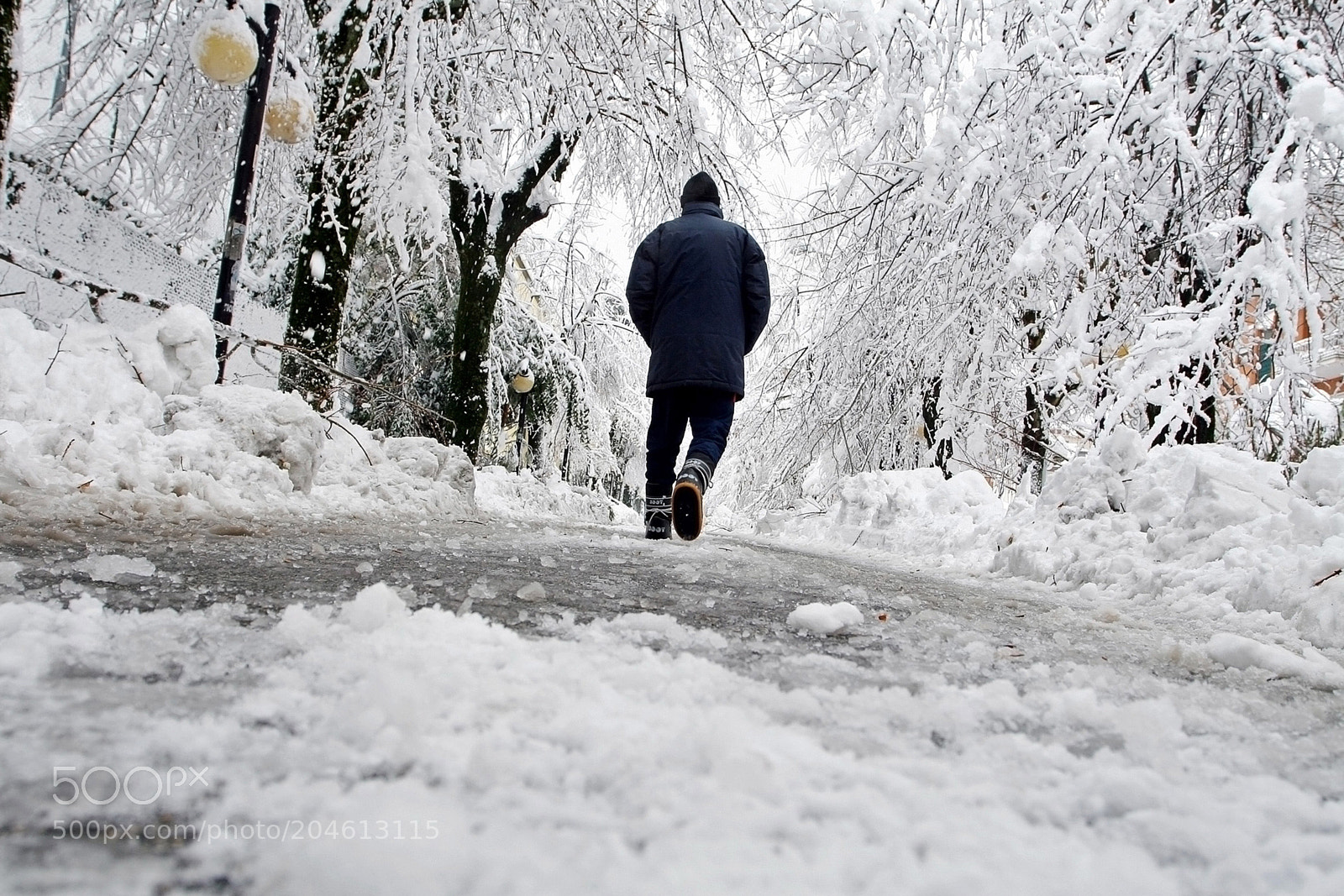 Canon EOS 20D sample photo. Walking in the snow photography
