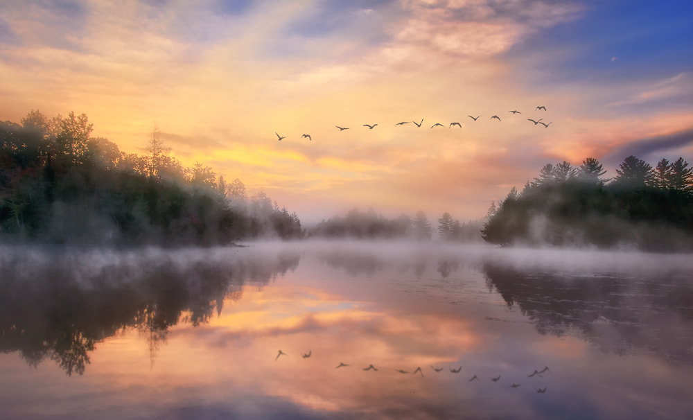 Autumn in me by Dragan Milovanovic photography on 500px.com