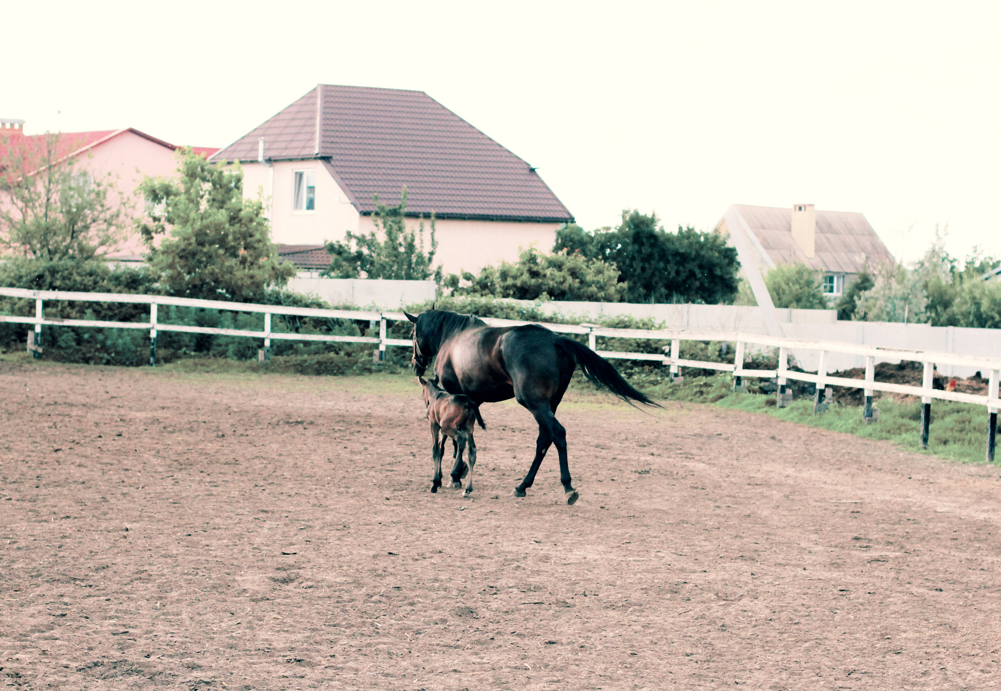 Canon EOS 7D + Canon EF 50mm F1.4 USM sample photo. Family photography