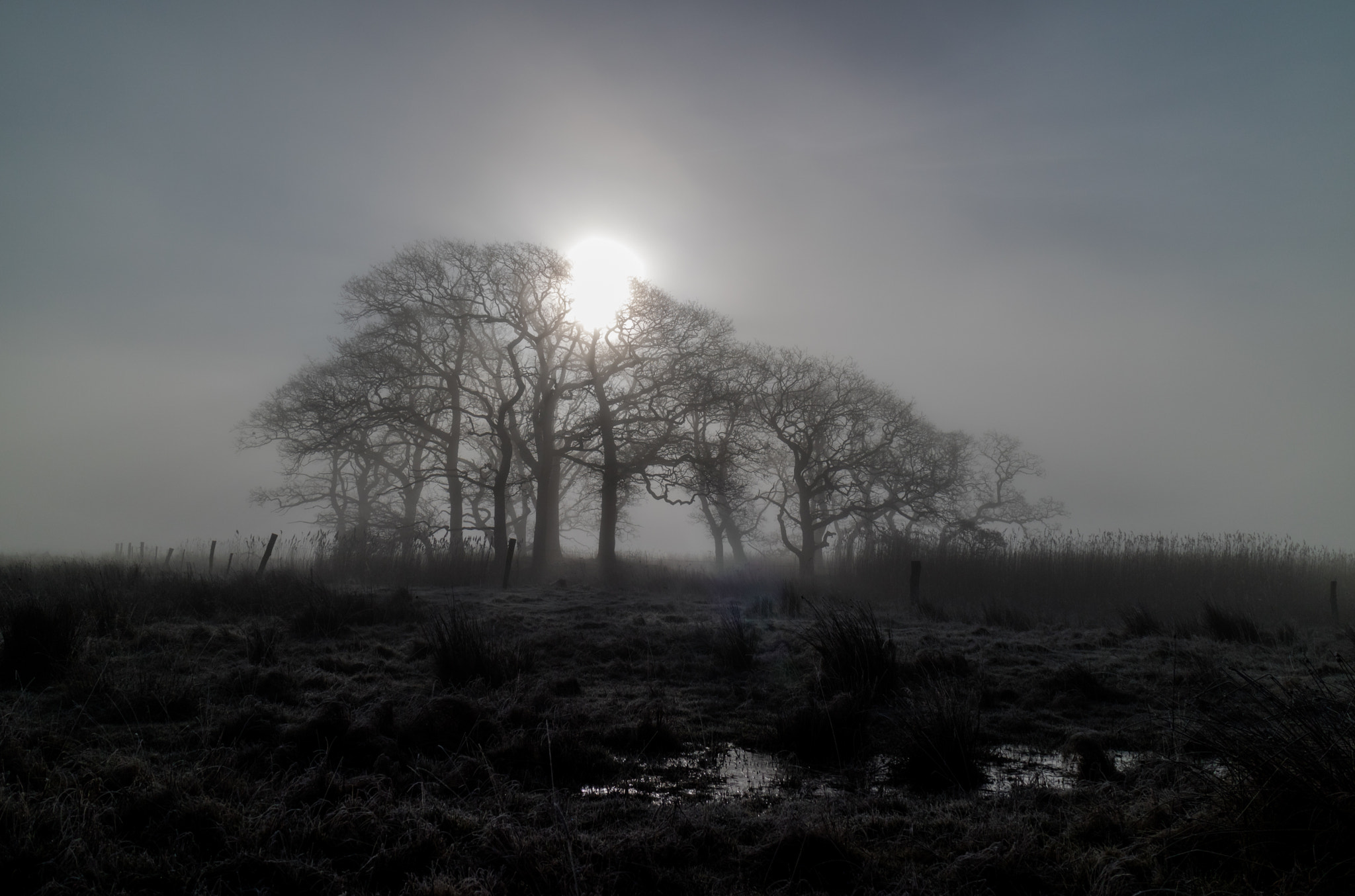 Canon EOS M3 sample photo. Dreamscape searing sun in morning fog photography