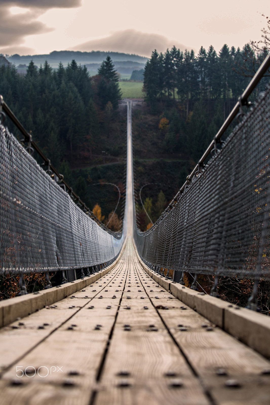 Canon EOS 6D + Canon EF 70-200mm F4L IS USM sample photo. Geierlay hängeseilbrücke photography