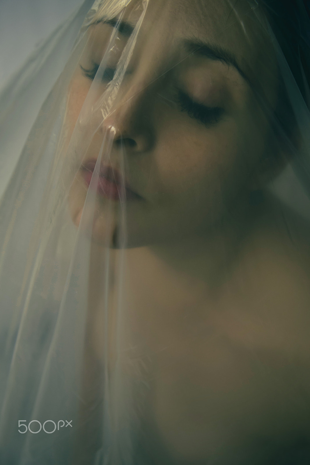 Nikon AF-S Nikkor 24-70mm F2.8G ED sample photo. Veiled photography