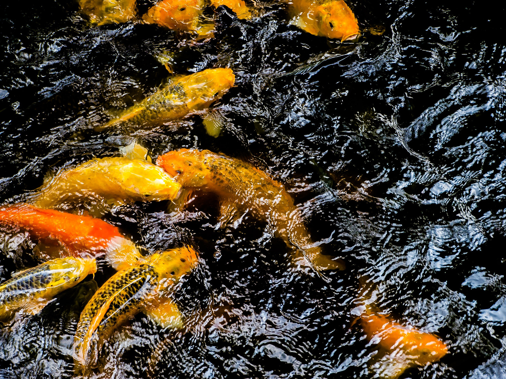 Panasonic Lumix DMC-GH2 sample photo. Tought theory photography