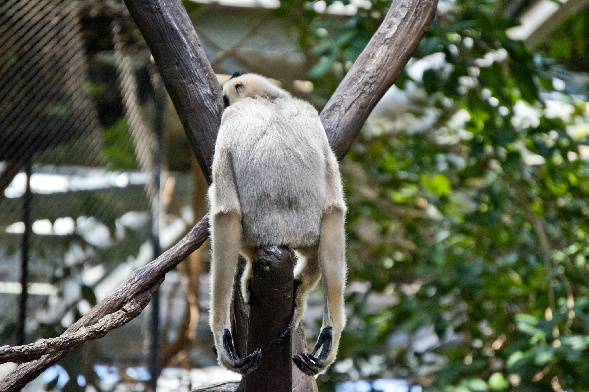 Nikon D5500 sample photo. Minnesota zoo photography