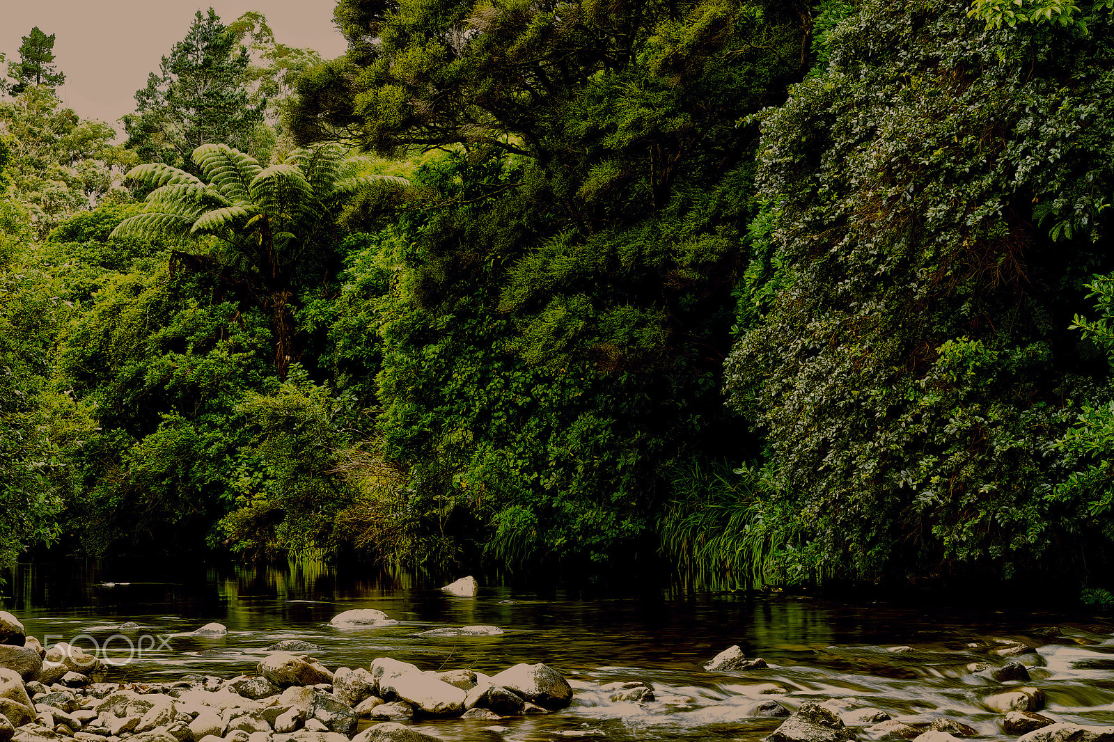Fujifilm X-T1 sample photo. Wainuiomata river photography