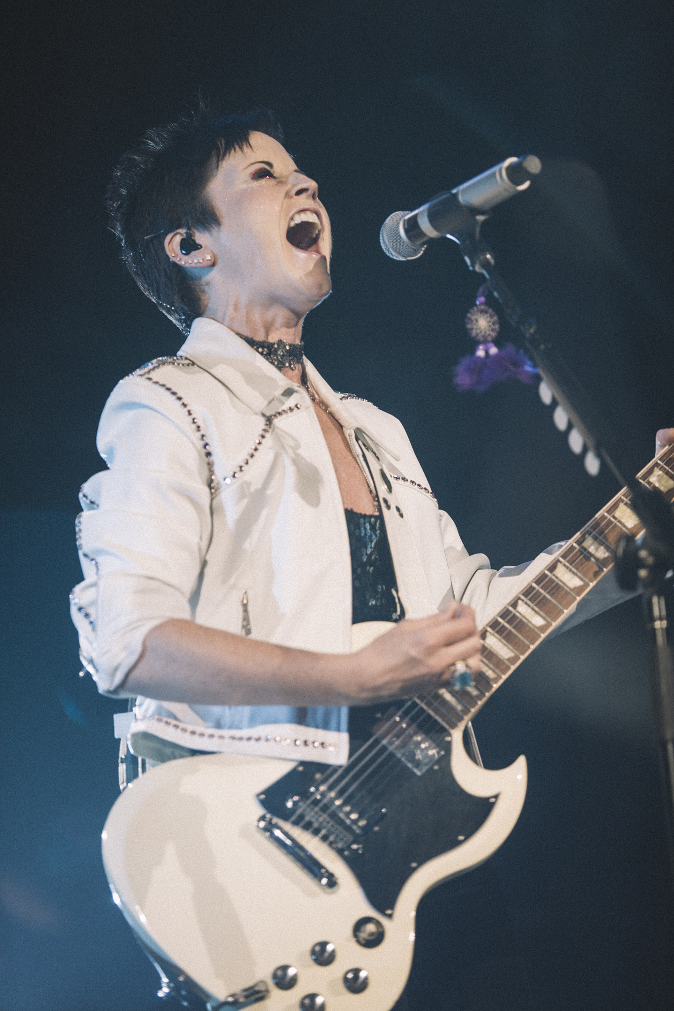 Canon EF 70-200mm F2.8L USM sample photo. The cranberries photography