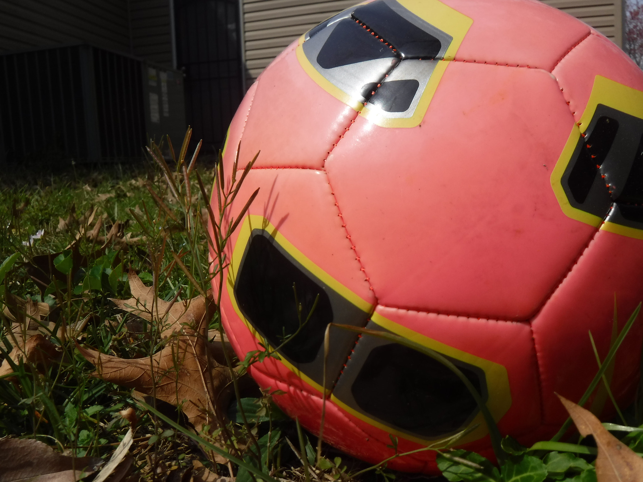Fujifilm FinePix XP90 XP91 XP95 sample photo. [] photography