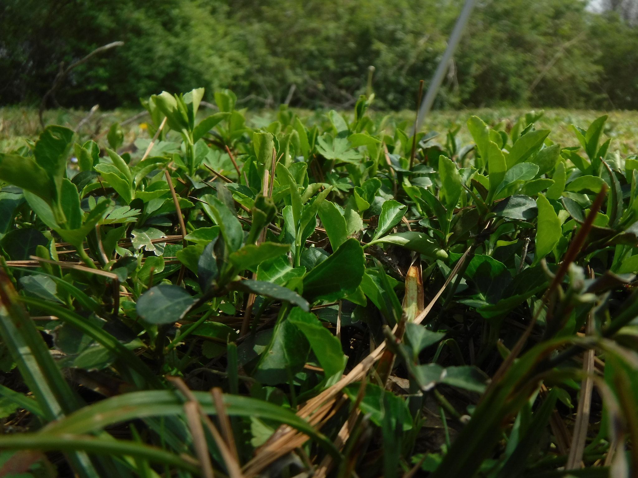 Fujifilm FinePix XP90 XP91 XP95 sample photo. [] photography