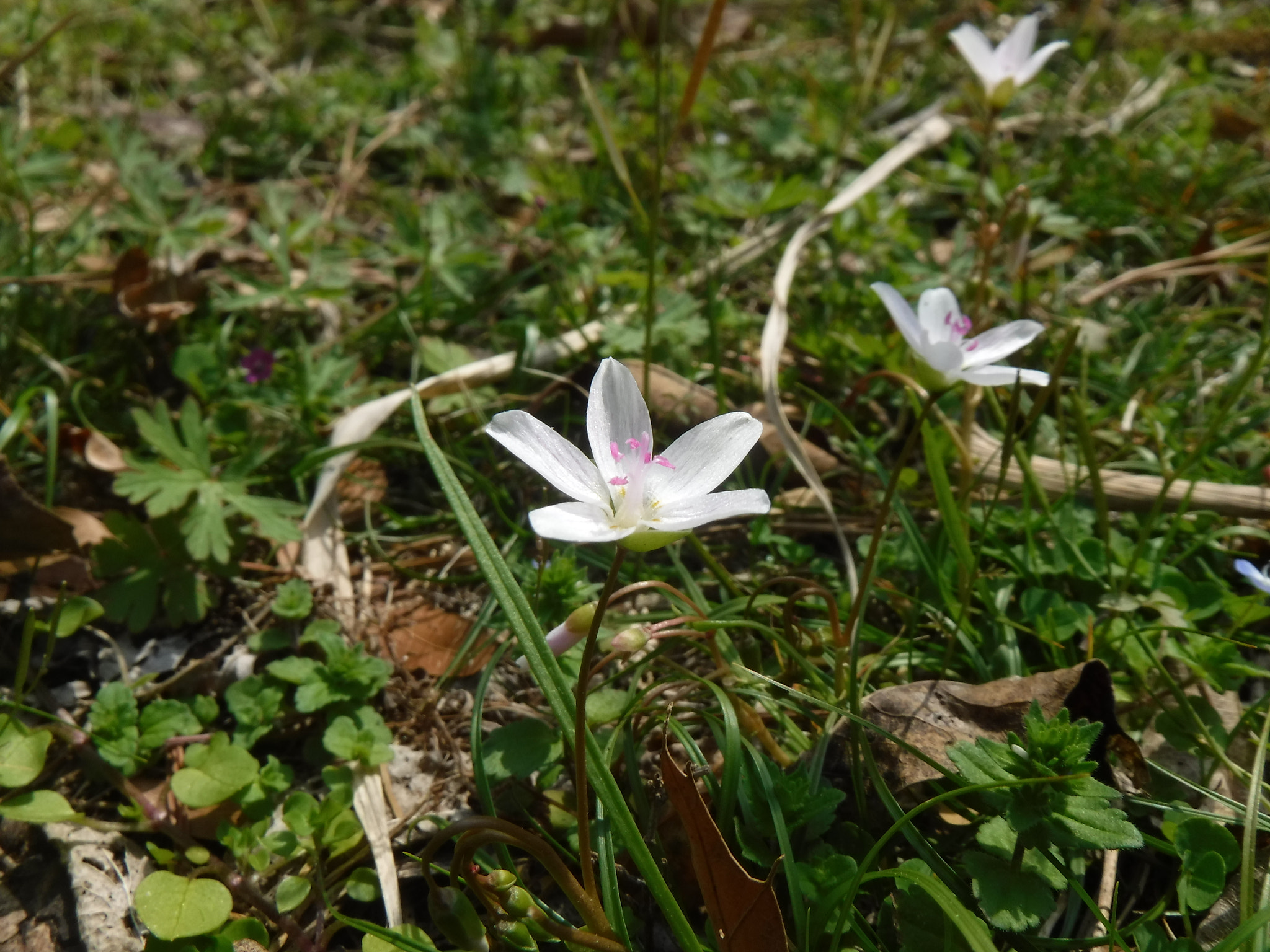 Fujifilm FinePix XP90 XP91 XP95 sample photo. [] photography