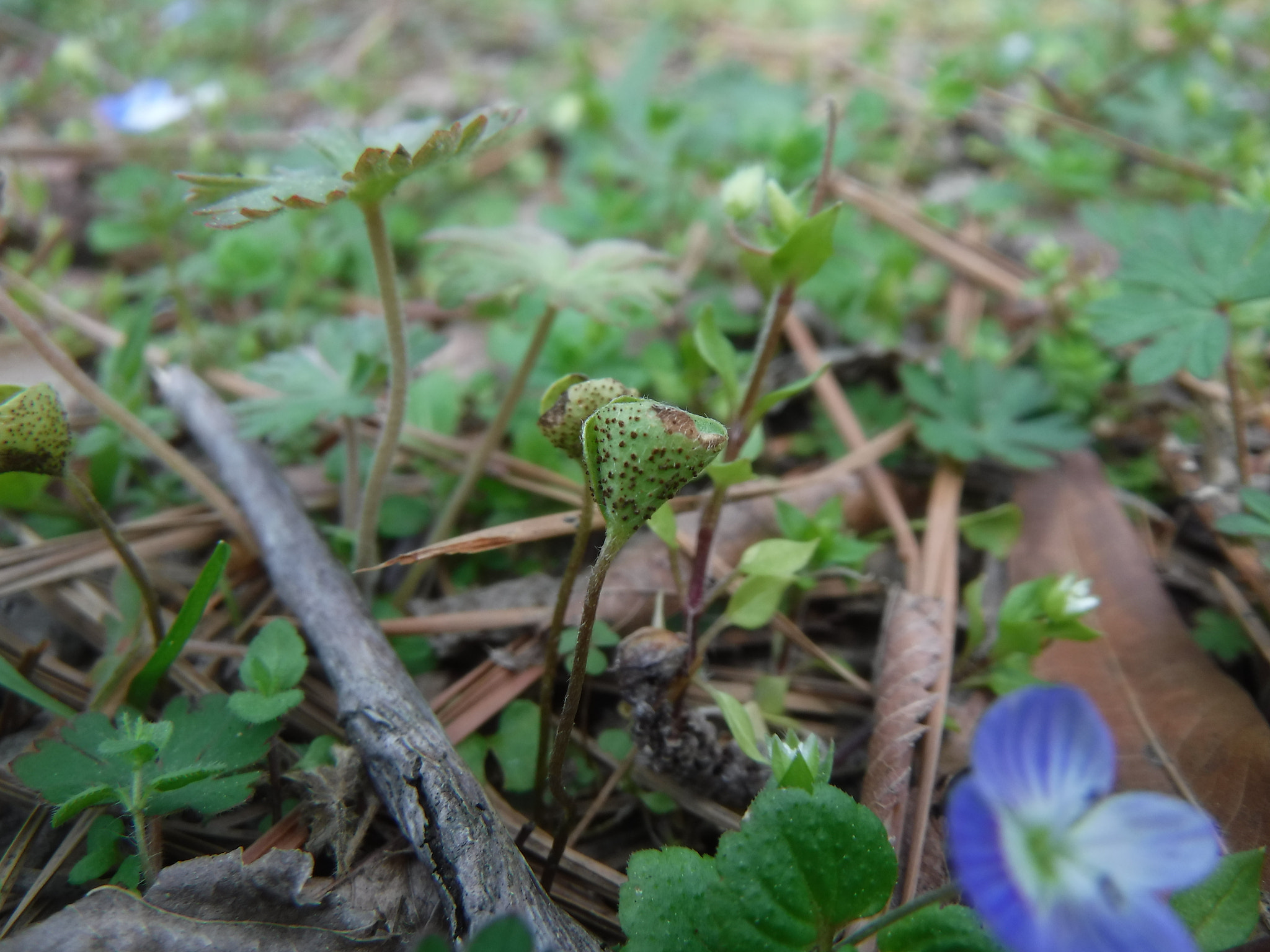 Fujifilm FinePix XP90 XP91 XP95 sample photo. [] photography