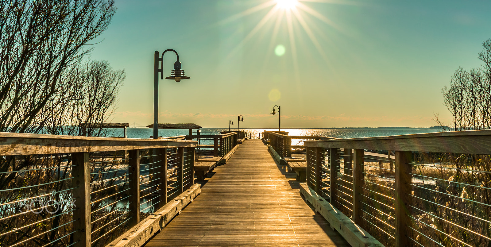 Nikon D3400 sample photo. Morning sun photography