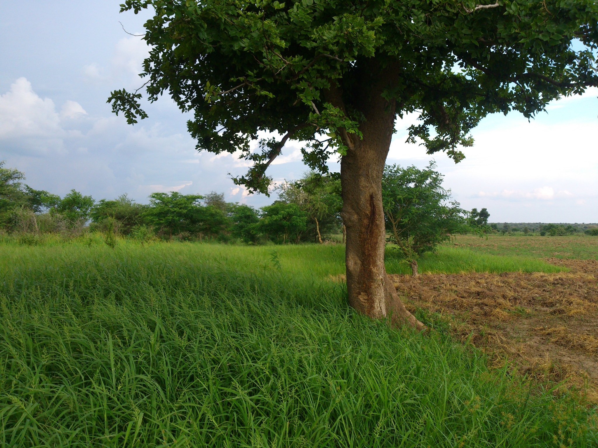 Sony Ericsson Xperia S sample photo. Dsc photography