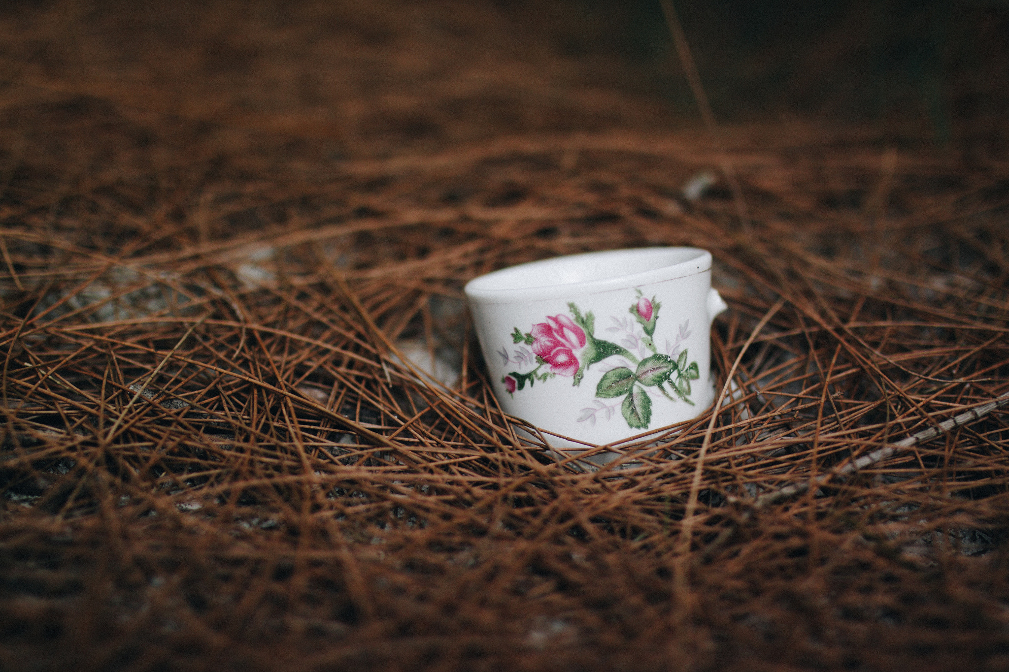 Canon EOS 50D + Sigma 35mm F1.4 DG HSM Art sample photo. Cup photography