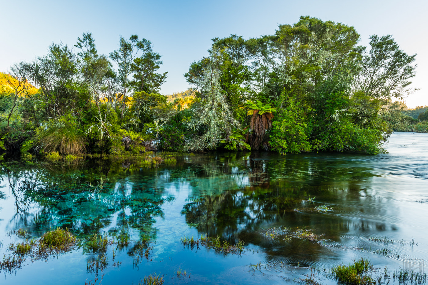 Nikon D500 sample photo. Waikoropupu springs photography