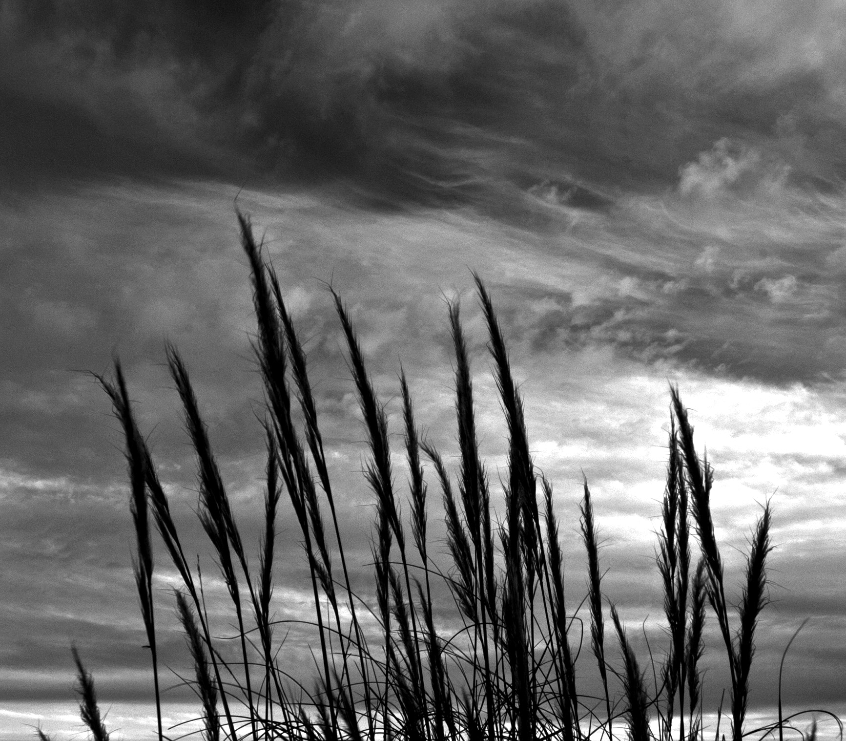 Nikon D700 sample photo. Sky photography
