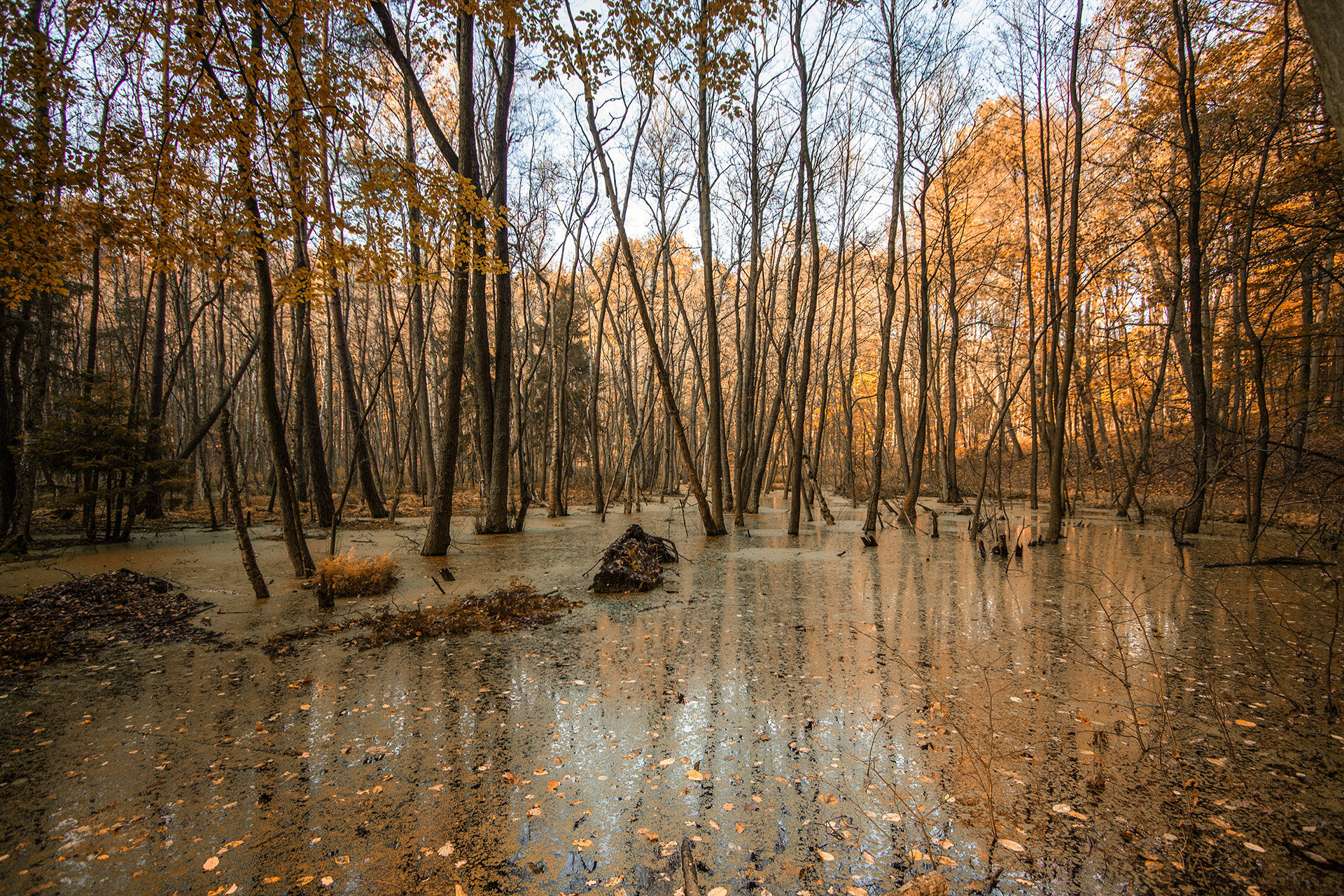Canon EF-S 10-22mm F3.5-4.5 USM sample photo. Autumn nature photography