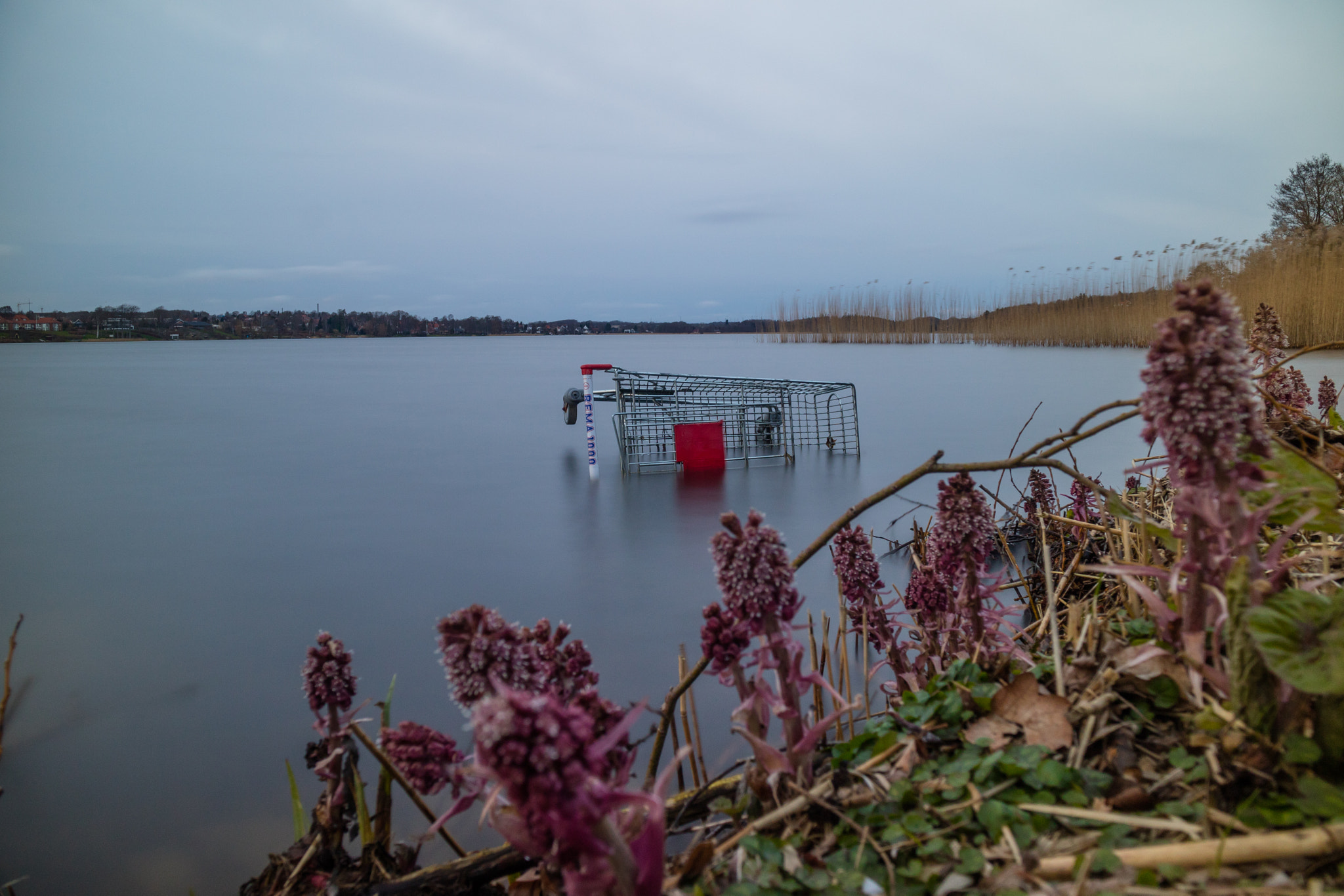 Canon EOS M3 sample photo. Shopping cart in nørresø photography