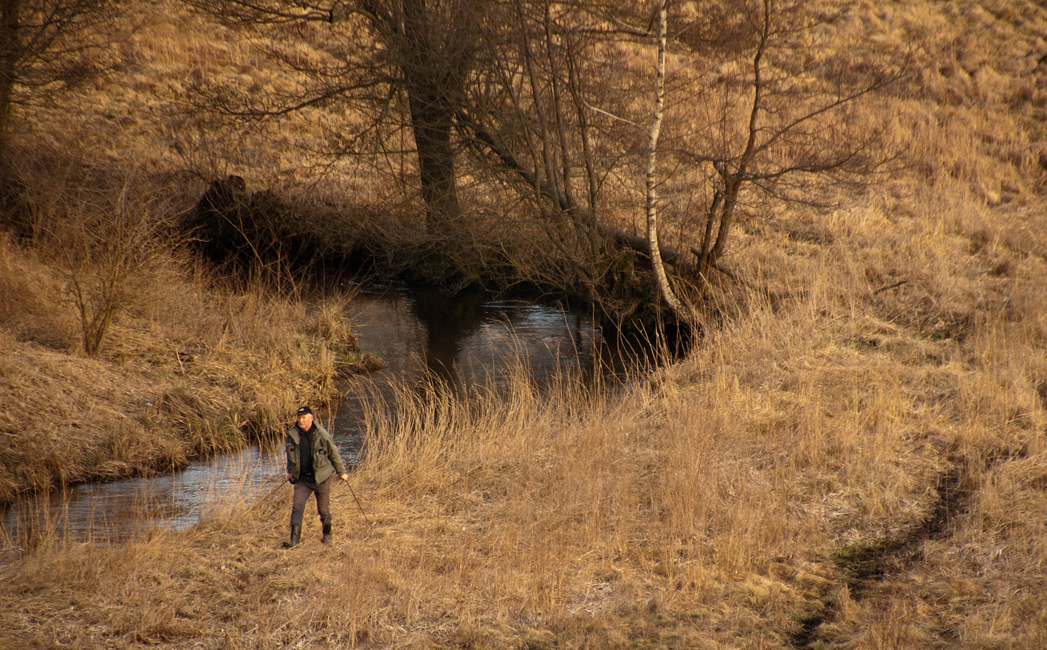 Sony Alpha DSLR-A300 sample photo. Na odludziu photography