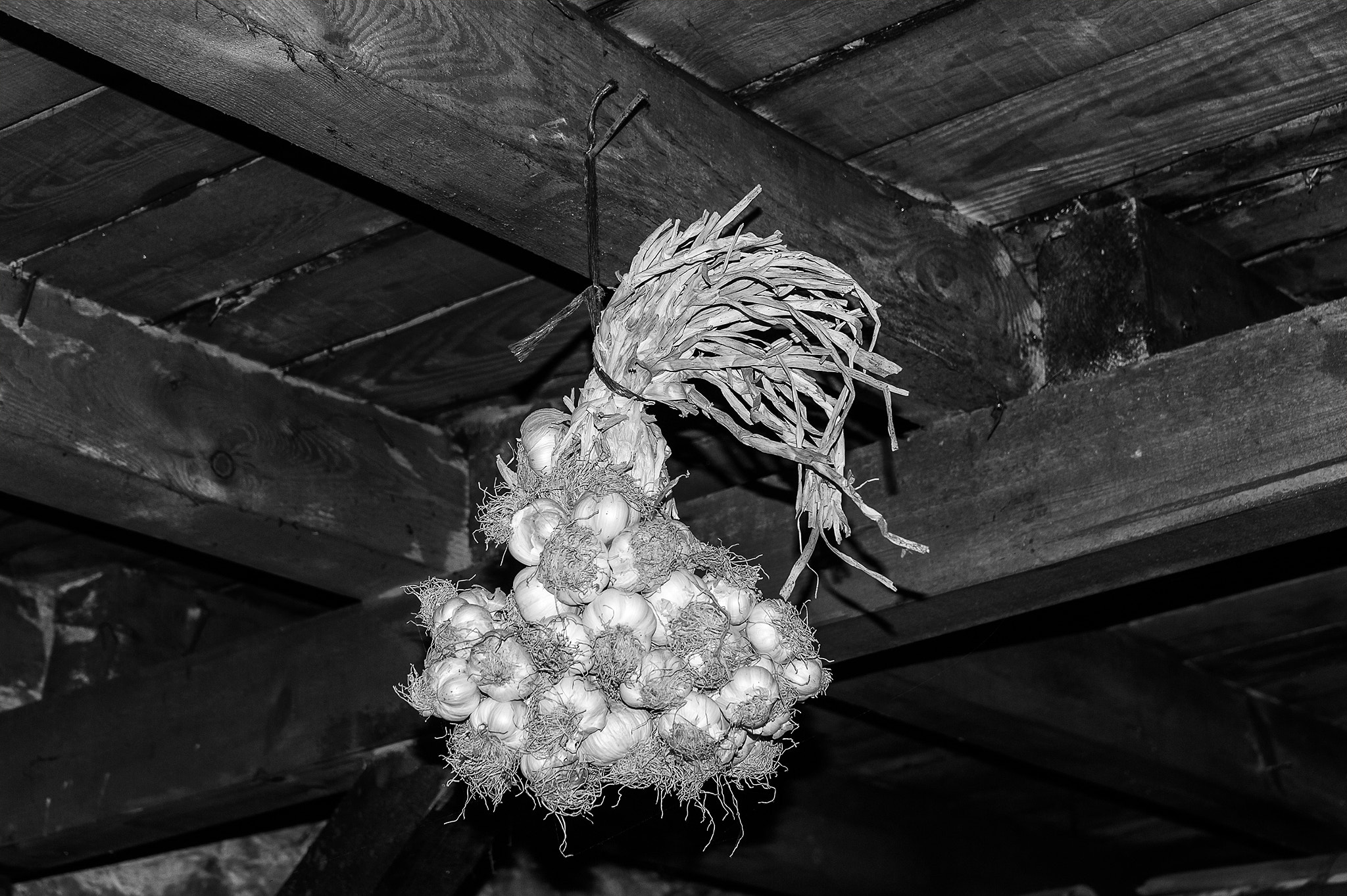 Nikon D700 sample photo. Hanging garlic for decoration photography