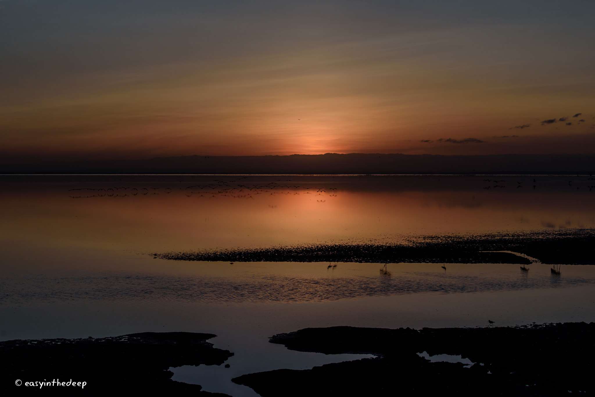 Nikon D750 sample photo. Maji moto, lake manyara. just before sunrise. photography