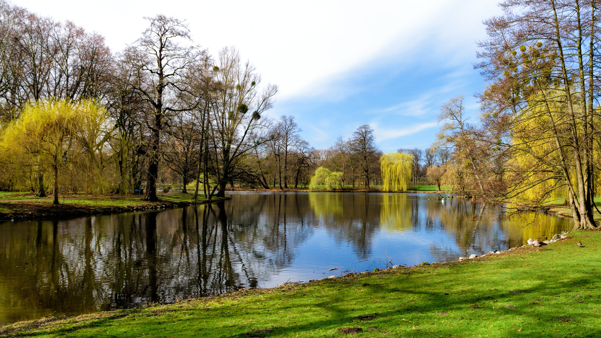 Nikon D7200 + Sigma 17-70mm F2.8-4 DC Macro OS HSM | C sample photo. Just before spring begins photography