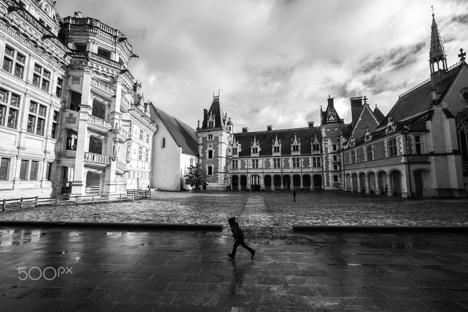 E 15mm F4.5 sample photo. Château de blois (france) photography