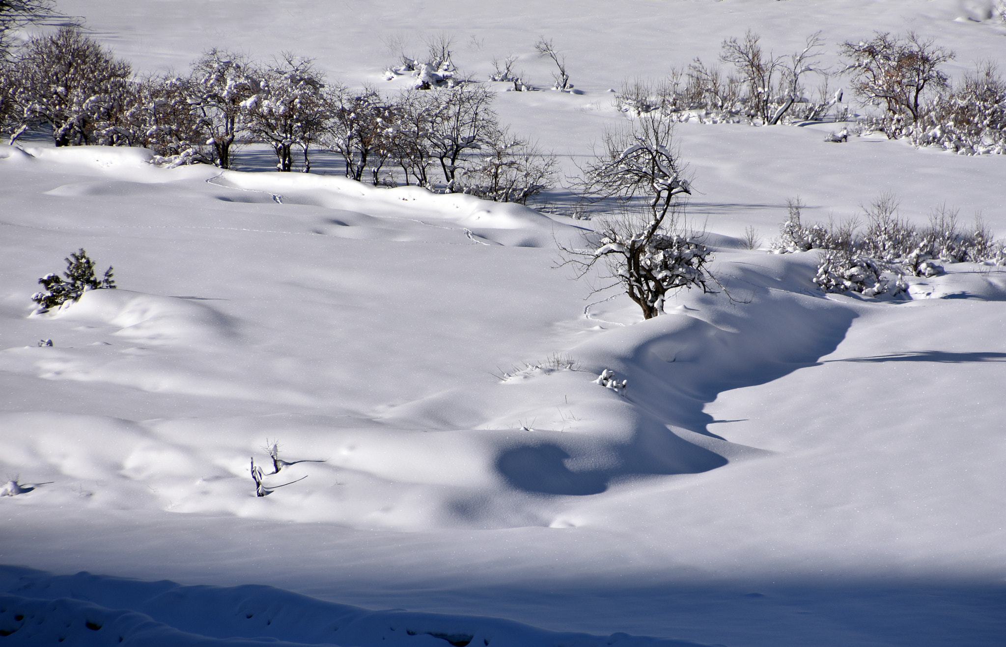 Nikon D7200 + Sigma 50mm F1.4 EX DG HSM sample photo. .... snowscape ........... photography