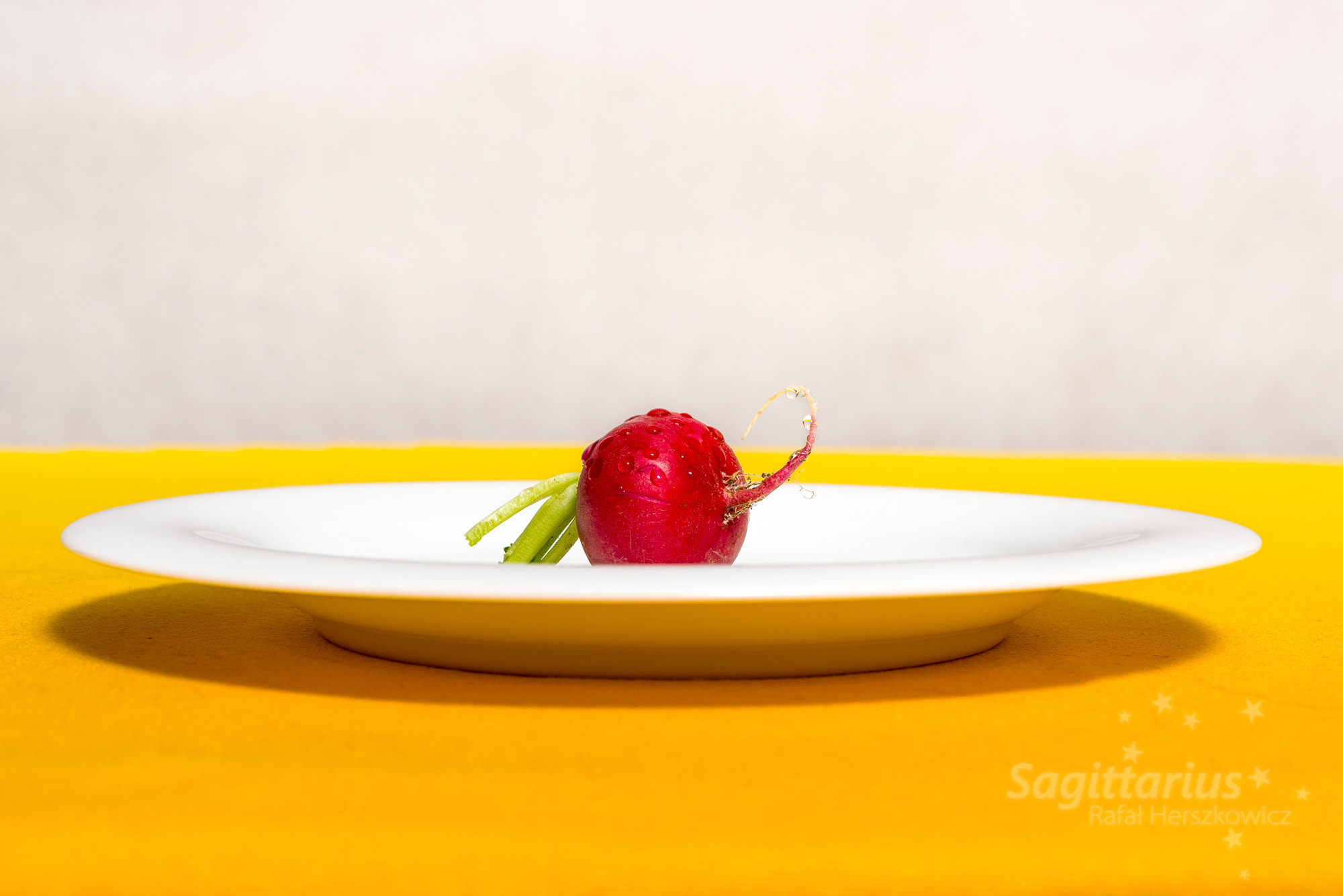 Nikon D610 + Nikon AF-S Nikkor 50mm F1.4G sample photo. Vegetables on a white plate #6 radish (83/365) photography