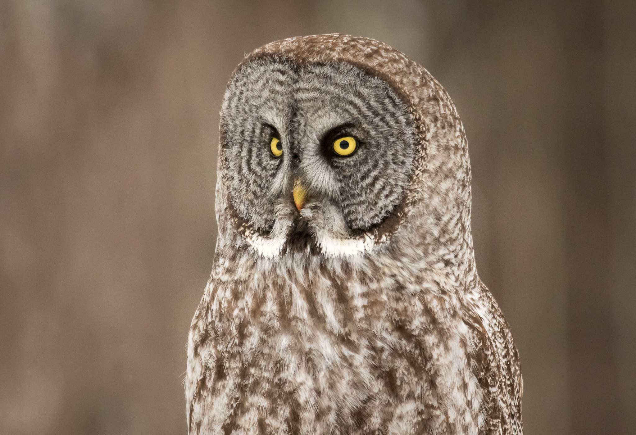 Sigma 150-500mm F5-6.3 DG OS HSM sample photo. Qa photography