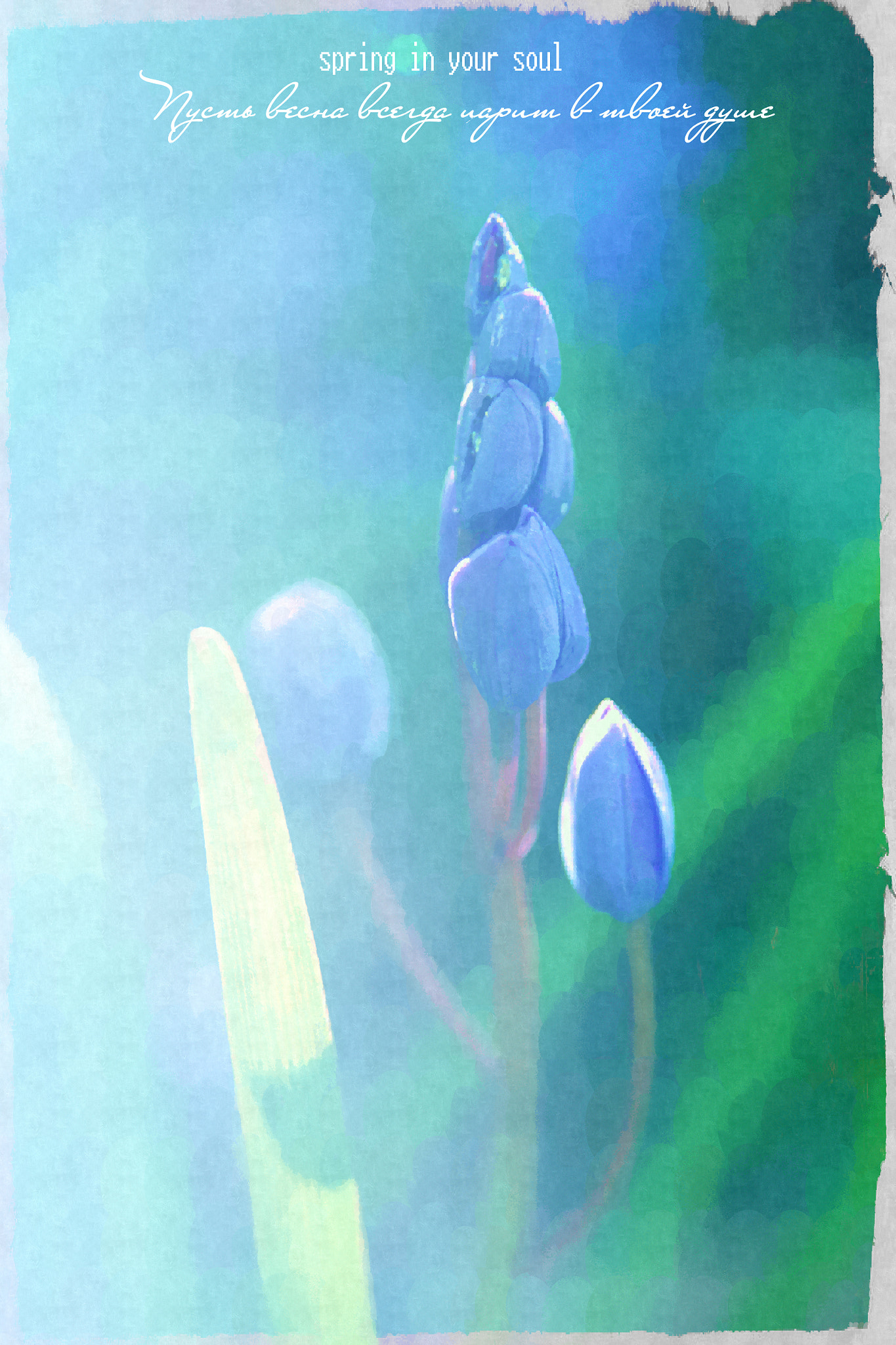 Sigma 17-70mm F2.8-4 DC Macro OS HSM sample photo. Spring emotions photography