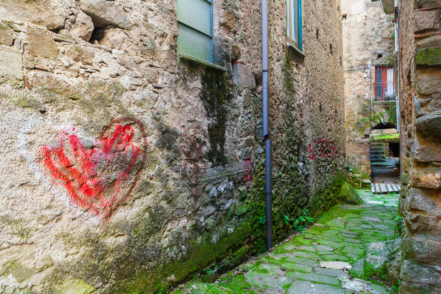 Canon EOS-1Ds Mark II sample photo. Muschio iii & love photography