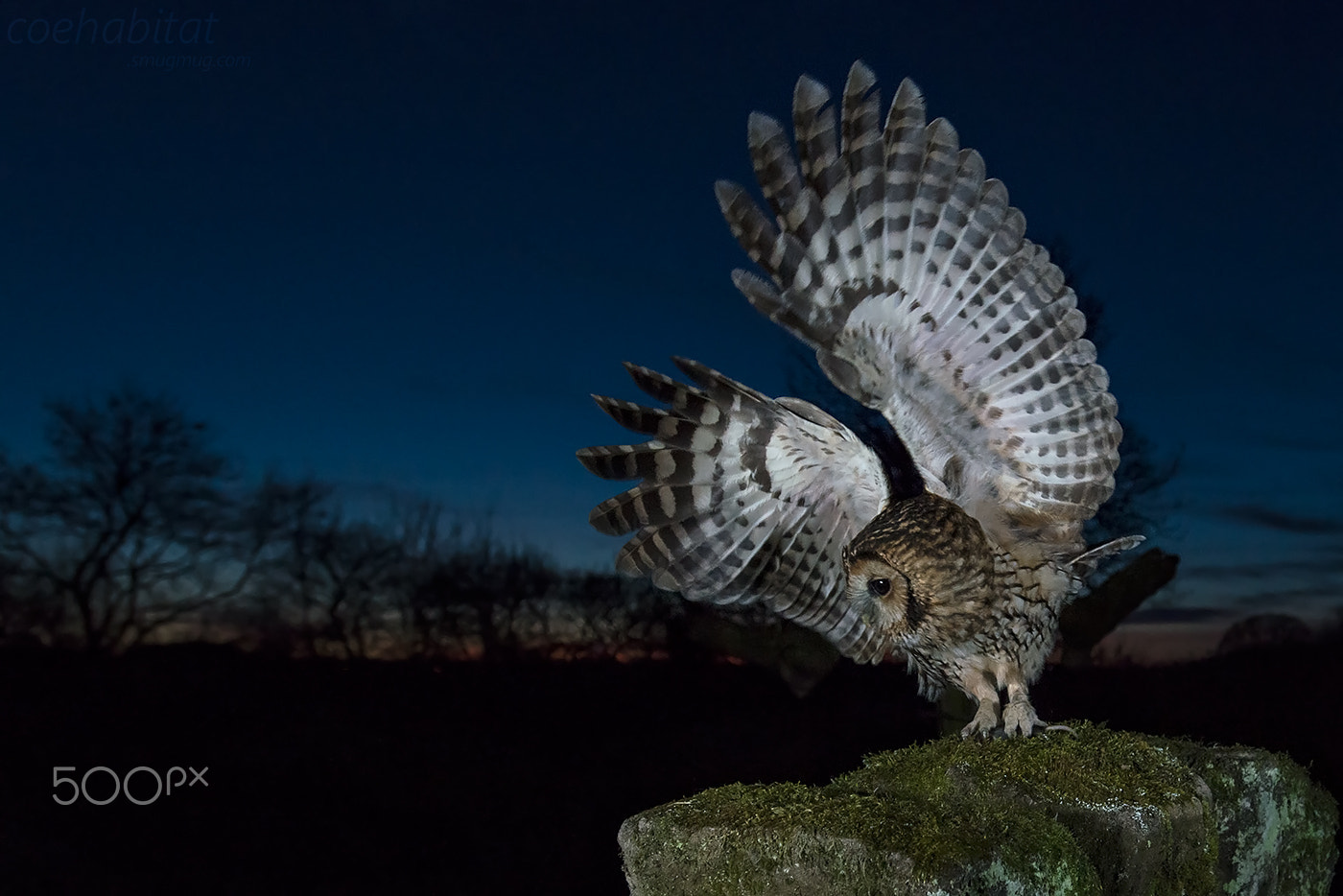 Nikon AF-S Nikkor 17-35mm F2.8D ED-IF sample photo. Take-off photography