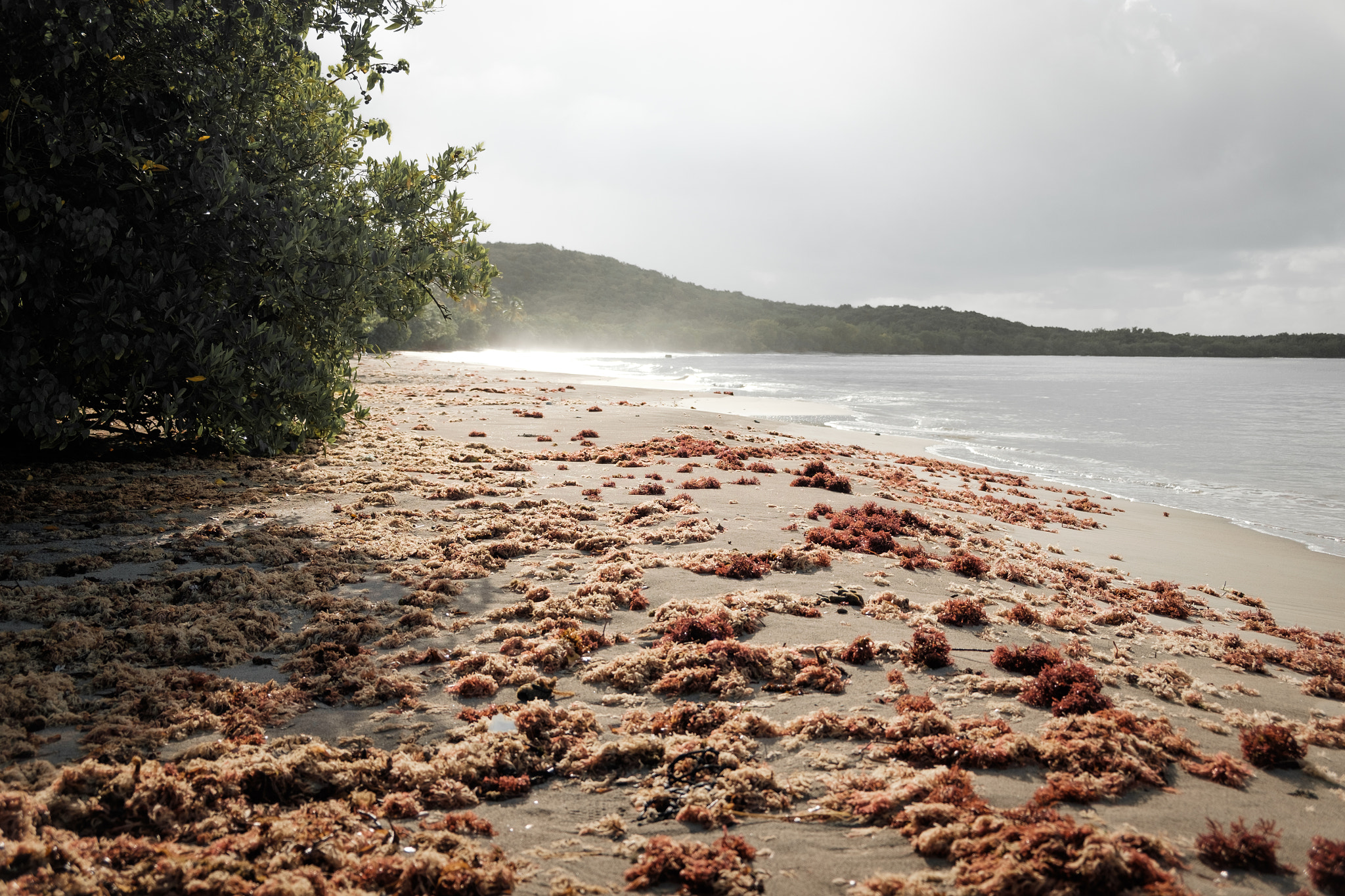 Fujifilm X-E2S sample photo. Caribbean photography