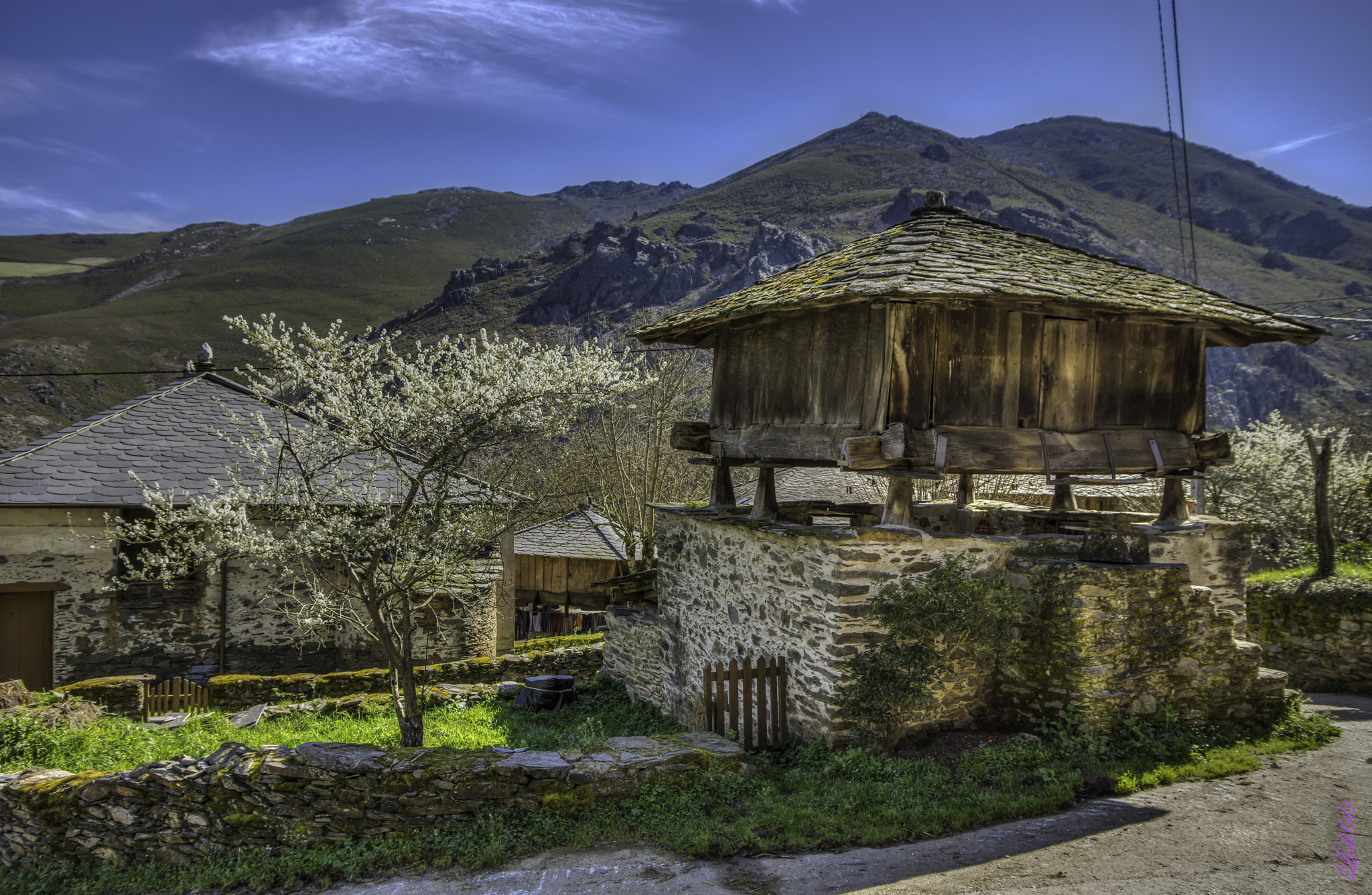 Sigma 17-70mm F2.8-4 DC Macro OS HSM | C sample photo. Asturias photography